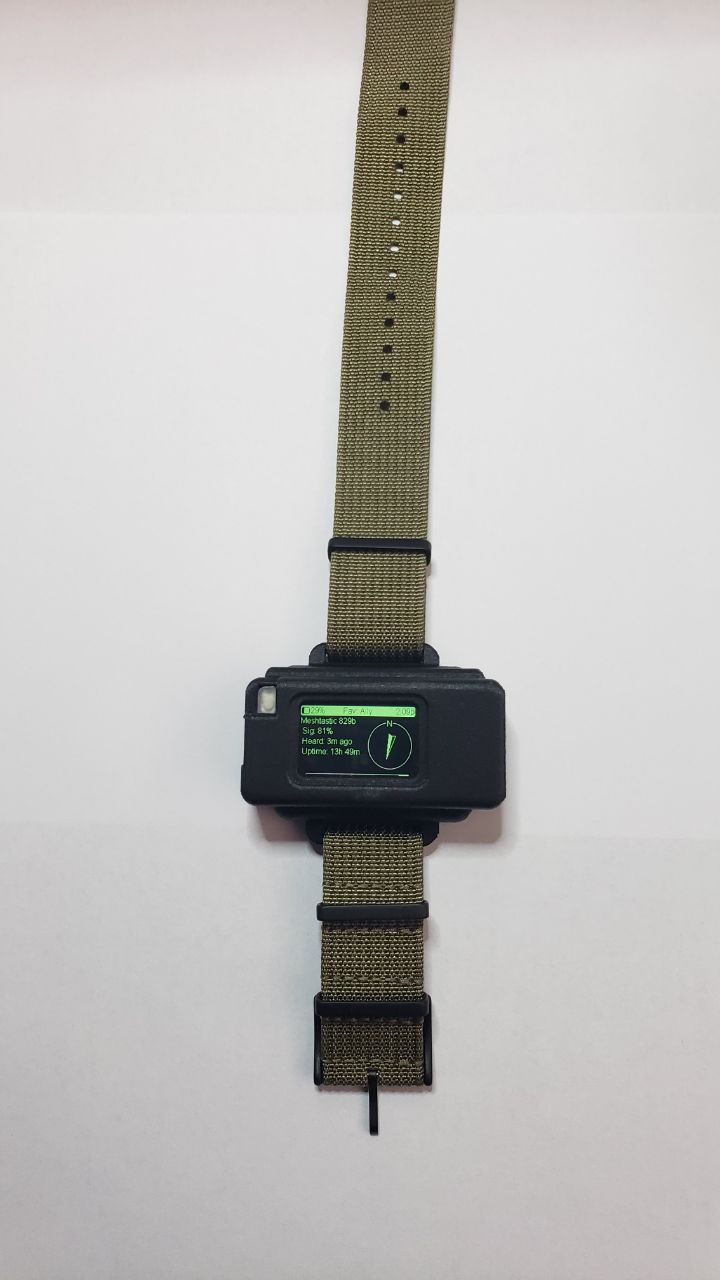 Heltec T114 Rugged Watch Node-FULL BUILD